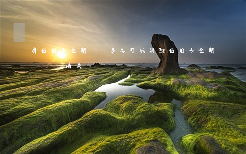 有信用卡逾期記錄多久可以消除（信用卡逾期記錄會消失嗎）