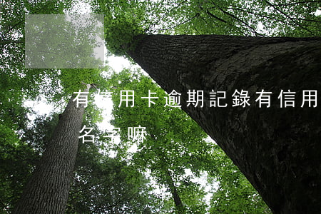 有信用卡逾期記錄(有信用卡逾期記錄可以改名字嘛?)
