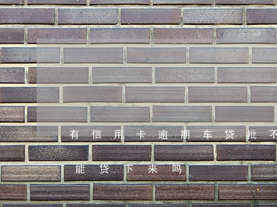 有信用卡逾期车贷批不了(信用卡有逾期车贷能贷下来吗)