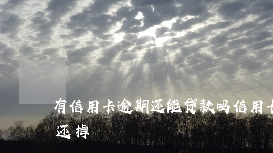 有信用卡逾期还能贷款吗（信用卡逾期想贷款还掉）