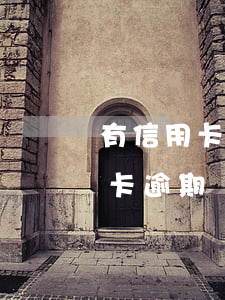 有信用卡逾期還可以再辦信用卡么-有信用卡逾期還可以再辦信用卡么嗎