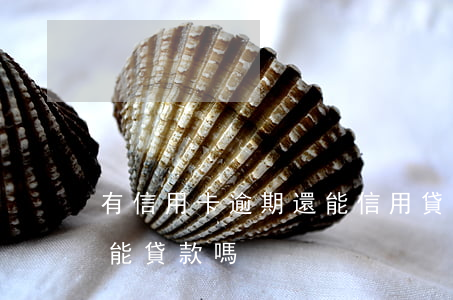 有信用卡逾期還能信用貸嘛(有信用卡逾期還能貸款嗎)