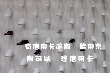 有信用卡逾期還能用京東白條(京東白條有逾期可以辦理信用卡嗎)