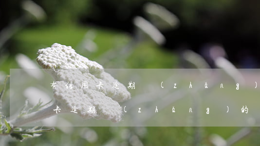 有信用卡逾期長(zhǎng)的嗎(有信用卡逾期長(zhǎng)的嗎)