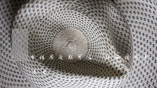 有信用逾期可以貸款嘛(信用卡貸款逾期了會怎么樣)
