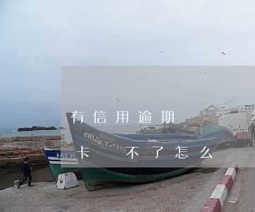 有信用逾期記錄辦不了信用卡（沒有逾期信用卡辦不了怎么辦）