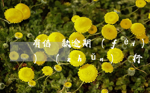 有信貸款逾期費(fèi)用標(biāo)準(zhǔn)(銀行貸款逾期費(fèi)用多少)