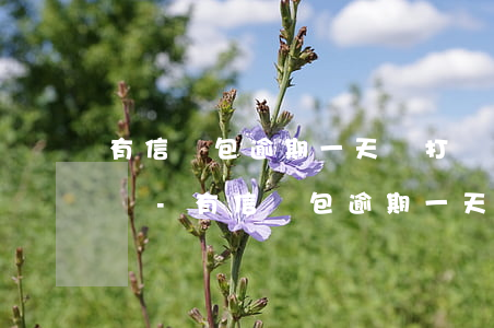 有信錢包逾期一天會打聯(lián)系人嗎-有信錢包逾期一天會打聯(lián)系人嗎是真的嗎
