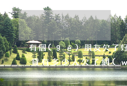 有個(gè)朋友欠了好多網(wǎng)貸(有多少人欠了網(wǎng)貸)