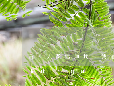 有個人微信加我說我逾期了 貸款逾期加我微信正規(guī)嗎