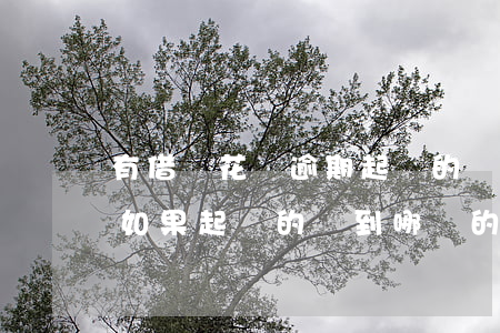 有借唄花唄逾期起訴的嗎(借唄花唄逾期不還如果起訴的話到哪兒的法院起訴)