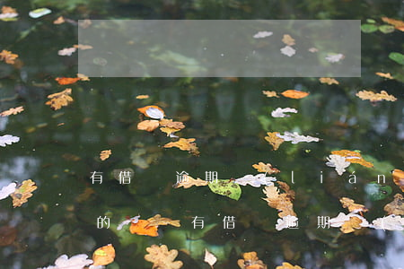 有借唄逾期聯(lián)系客服分期成功的嗎-有借唄逾期聯(lián)系客服分期成功的嗎是真的嗎