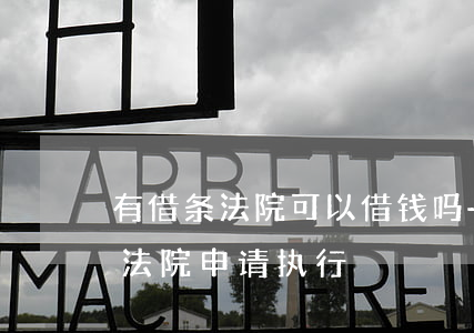 有借条法院可以借钱吗-有借条是否可以向法院申请执行