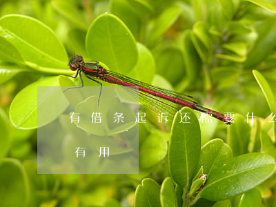 有借条起诉还需要什么证据（借钱有借条起诉有用）
