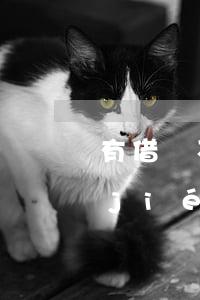 有借條不還錢法院可以調(diào)節(jié)嗎(如果借錢有借條,不還,可以走法律程序嗎?)