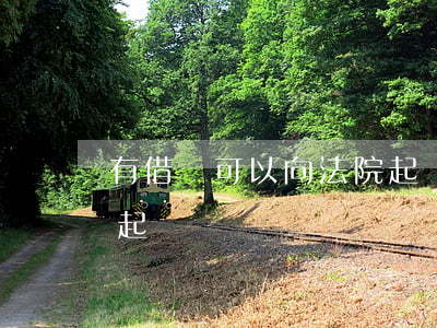 有借條可以向法院起訴嗎(有借條可以去法院起訴嗎)