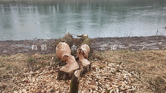 有借條是否就一定能勝訴？