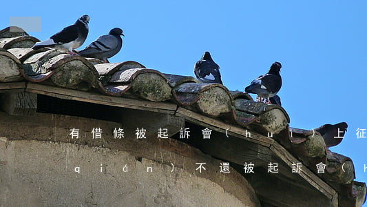 有借條被起訴會(huì)上征信嗎(借錢(qián)不還被起訴會(huì)影響征信嗎)