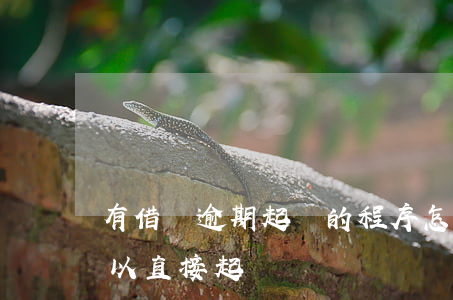 有借條逾期起訴的程序怎么走(借條到期了可以直接起訴嗎)