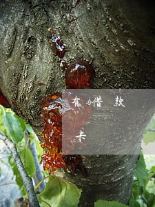 有借款沒逾期能開信用卡嗎 有逾期可辦信用卡嗎