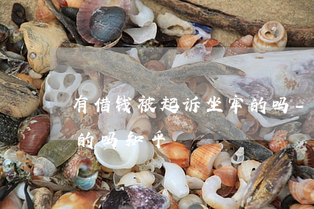 有借钱被起诉坐牢的吗-有借钱被起诉坐牢的吗知乎