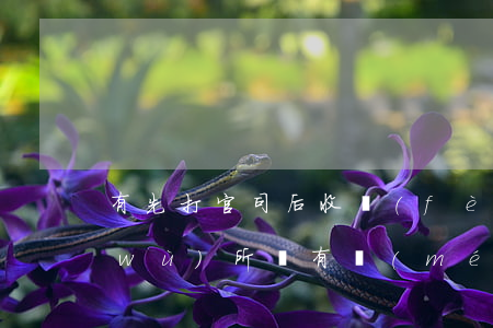 有先打官司后收費(fèi)的律師事務(wù)所嗎(有沒(méi)有先打官司后付費(fèi)的律師事務(wù)所)