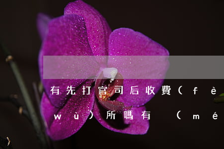 有先打官司后收費(fèi)的律師事務(wù)所嗎(有沒(méi)有先打官司后收費(fèi)的律師)
