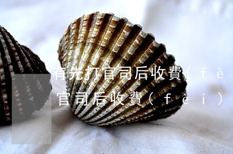 有先打官司后收費(fèi)的律師嗎(先打官司后收費(fèi)的律師事務(wù)所)