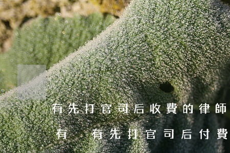 有先打官司后收費的律師事務(wù)所嗎(有沒有先打官司后付費的律師事務(wù)所)