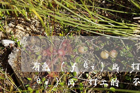 有免費(fèi)出國打工的嗎(有免費(fèi)出國打工的嗎?不要一分錢的)
