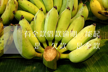 有全款借款逾期還能起訴嗎(房貸逾期后被起訴是還欠款還是全款)