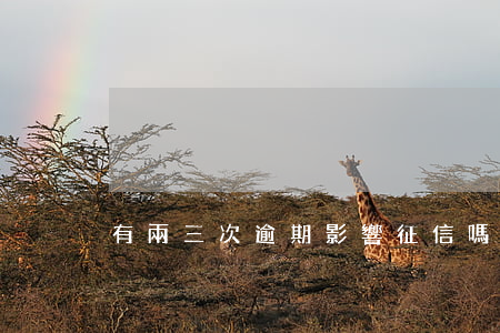 有兩三次逾期影響征信嗎