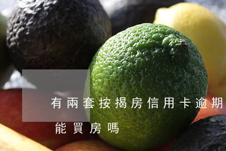 有兩套按揭房信用卡逾期(一兩次信用卡逾期能買房嗎)