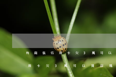有兩張信用卡欠3萬可以貸款嗎-有兩張信用卡欠3萬可以貸款嗎知乎