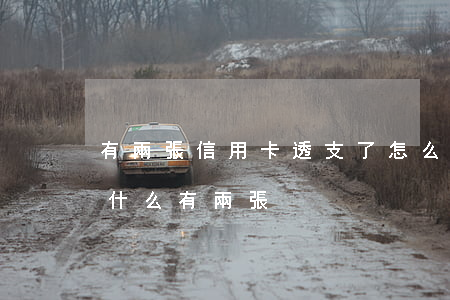 有兩張信用卡透支了怎么辦(申請了信用卡為什么有兩張)