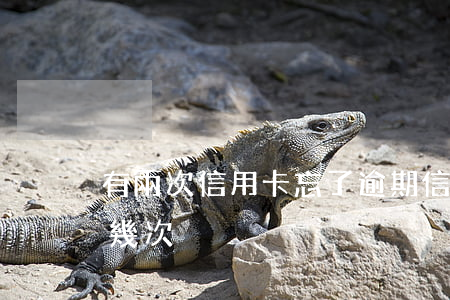 有兩次信用卡忘了逾期（信用卡逾期忘了還好幾次）