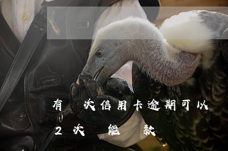 有兩次信用卡逾期可以貸款嗎（信用卡逾期32次還能貸款嗎）
