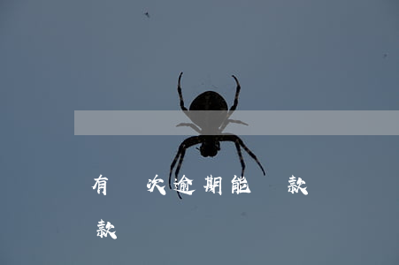 有兩次逾期能貸款購車嗎(有過一次逾期能貸款買車嗎)