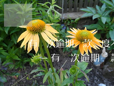有兩次逾期還款額度不足會(huì)怎么樣-有兩次逾期還款額度不足會(huì)怎么樣嗎