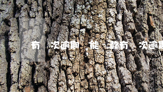 有兩次逾期還能貸款(有兩次逾期還能貸款)