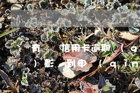 有兩筆信用卡逾期過(guò)會(huì)影響到申請(qǐng)房貸嗎（近兩年有信用卡逾期會(huì)影響房貸嗎）