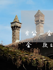 有公積金必下的網(wǎng)貸(51公積金貸款app下載)