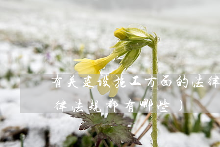 有关建设施工方面的法律法规(工程建设法律法规都有哪些)