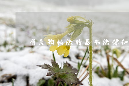 有关物权法的基本法律知识（一）