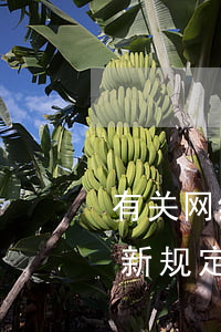 有关网络餐饮的法律法规(网络餐饮有什么新规定)