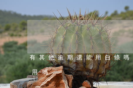 有其他逾期還能用白條嗎(白條逾期還完后能用嗎)
