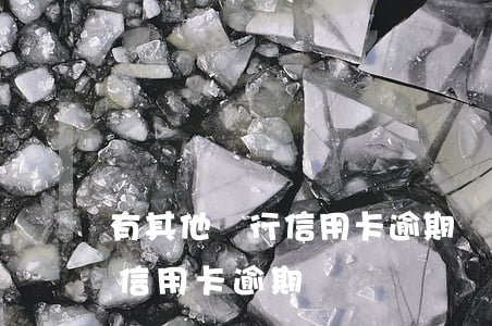 有其他銀行信用卡逾期辦卡(辦銀行卡會顯示信用卡逾期嗎)