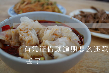 有凭证借款逾期怎么还款(银行贷款还款凭证丢了)