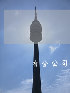 有分公司的怎么破產(chǎn)清算