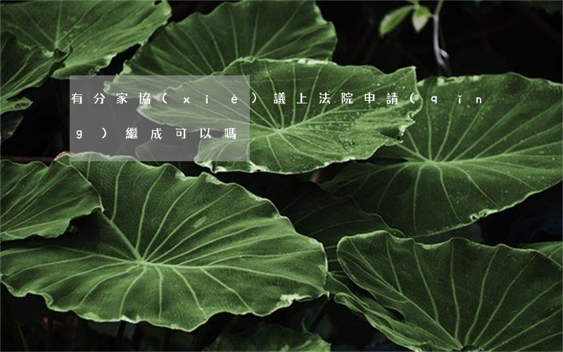 有分家協(xié)議上法院申請(qǐng)繼成可以嗎